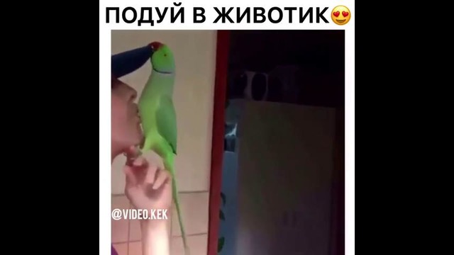 Ууууууу ни надяяя