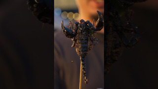Жареный скорпион, уличная еда Таиланда
