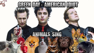 Green Day – American Idiot (Animal Cover)