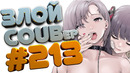 Злой best coub forever #213