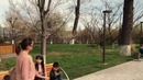 ГражданинГорожанин #7 – Навруз 2018, EcoPark, ночные прогулки в Samarqand Darvoz