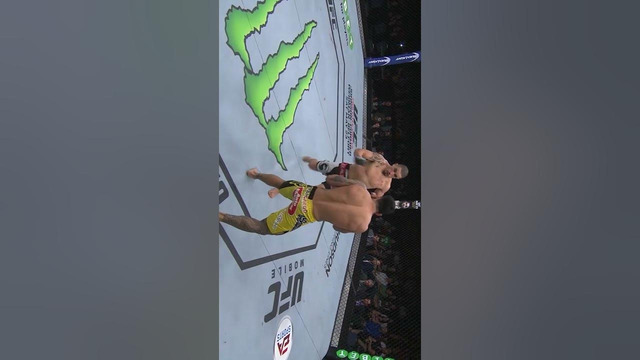 Is THIS The BEST Whittaker Knockout