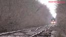 Самые смешные и сумасшедшие видосики со всего мира