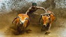 6 самых необычных гонок в мире