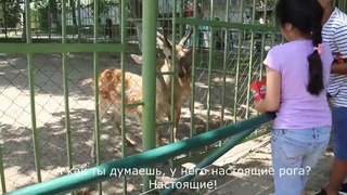 ВЛОГ #2 Ташкентский зоопарк