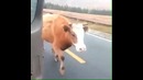 БиР Икки Бир Икки