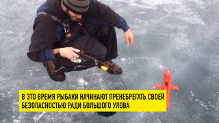 Мужчина ловил рыбу и провалился под лед. Но рядом никого не было, кроме собаки