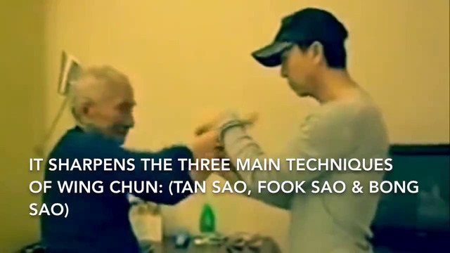 Donnie Yen Training Wing Chun w Ip Man’s Son
