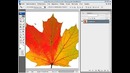 Уроки по Adobe Photoshop. От Евгения Попова Создание новой кисти