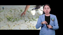 Surdo (3) YUTUBE INSTAG