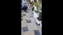 Все для любимой