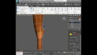 Видеоурок по 3DMAX /Building the legs