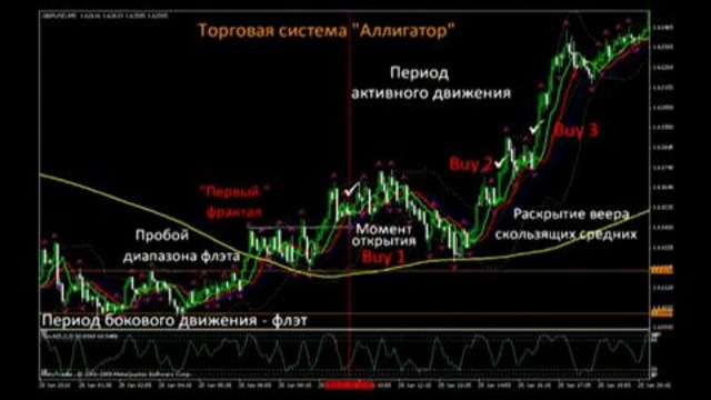 Видео-уроки по торговле на рынке Forex (Форекс) от MaxiForex № 19