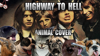AC/DC – Highway To Hell (Animal Cover)