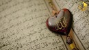 Sardor Rahimxon – Halol va Harom (AJR loyihasi) farzandlarga ibrat