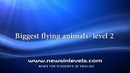 Biggest flying animals – level – 2