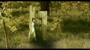Within Temptation – The Howling