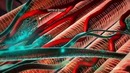 10 самых болезненных ощущений в мире