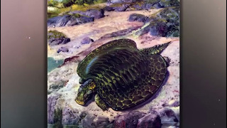 Полная Эволюция Черепах и Как их Предки Получили Броню