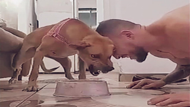 Try Not To Laugh Funny Videos – Funny Moments Of The Year Compilation PART 126