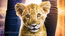 Король-львенок Русский трейлер Фильм 2022