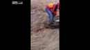 Добрые охотники помогли оленю