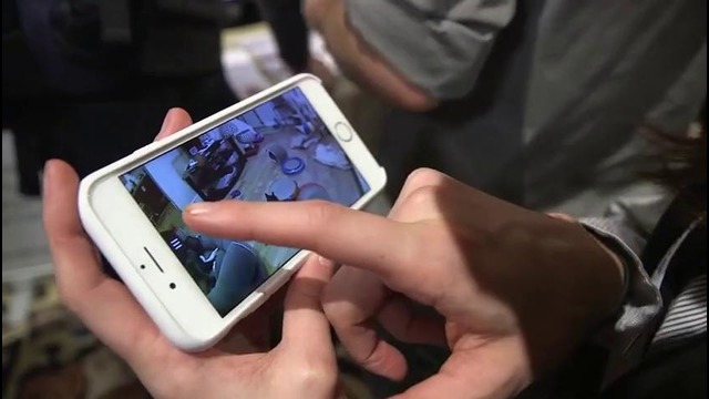 Play with your cat from your phone with Petcube — CES 2015