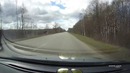 Лось едва не попал под колеса автомобиля