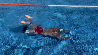 Роман Костомаров научился плавать с протезами после ампутации