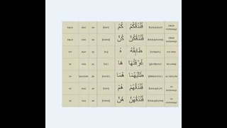 Арабский язык для начинающих урок 12 Местоимения