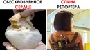 Удивительные фотографии, показывающих невидимую сторону вещей
