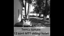 Термиз тумани 12 МТТ