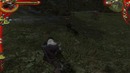 Witcher test