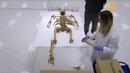 История, англо-шотландских войн 14 века