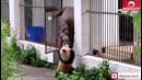 (BugagaTV) Приколы и Фейлы 2016 Февраль – Wins & Fails February 2016 (Part 4)