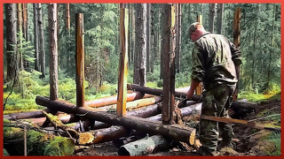 Man Builds a Log Hut in the Wild Forest in 6 Months by @bushcraftoutdooradventures3135