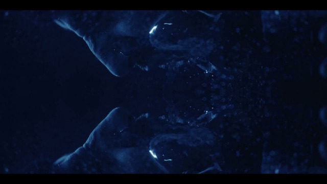 Floya – Juneau (Official Video 2026)
