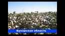 Видео клип СКО охиргиси Flash