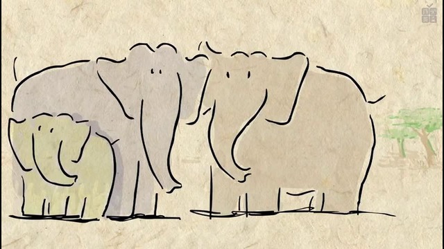 Почему слоны ничего не забывают? – Vert Dider