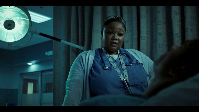 Bo’rilar To’dasi | 1-Qism