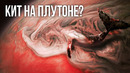 Как на Плутоне был обнаружен кит? (первые фото с Плутона)