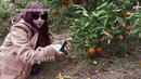 BLACKPINK House ep. 11-1 [рус. саб]