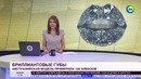 Olmos