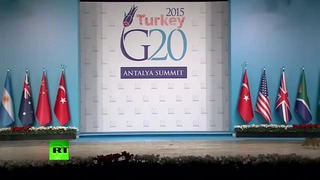 Три кошки стали звездами саммита Большой двадцатки