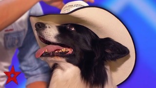 Танцующий пёс-ковбой на шоу талантов в Америке