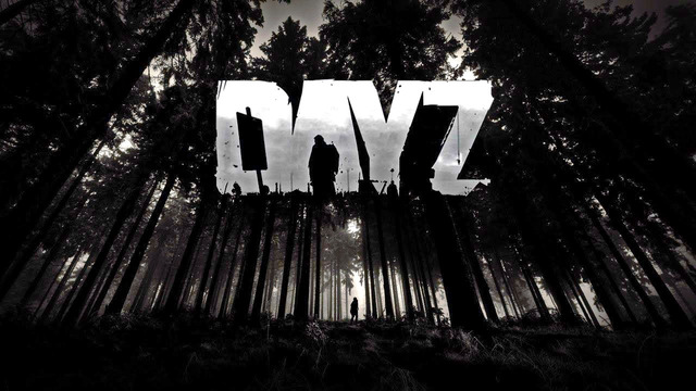 SHIMOROSHOW ◆ DAYZ • 29