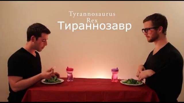 Как едят животные (на русском)
