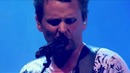 Muse – Animals War Child 20th Anniversary Show