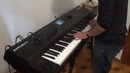 Selena Gomez – The Heart Wants What It Wants Piano Cover Version