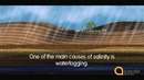 18 Episode Eighteen – Salinity (IELTS Preparation-UCE.VN)
